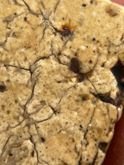 พระสมเด็จบางขุนพรหม พิมพ์ฐานคู่ เนื้อหาเก่าสวย รูปที่ 10