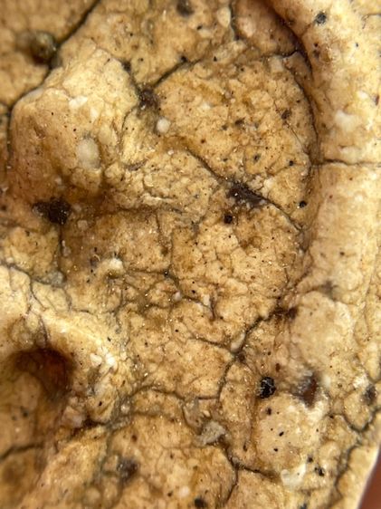 พระสมเด็จบางขุนพรหม พิมพ์ฐานคู่ เนื้อหาเก่าสวย รูปที่ 13