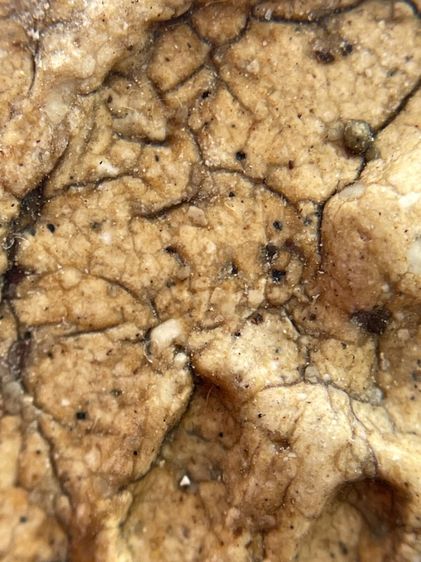 พระสมเด็จบางขุนพรหม พิมพ์ฐานคู่ เนื้อหาเก่าสวย รูปที่ 14