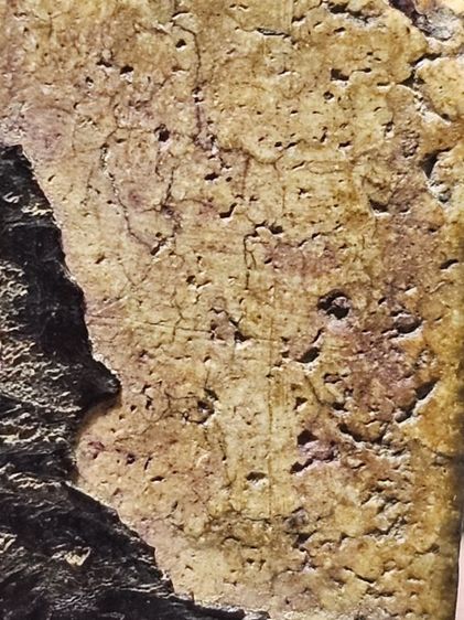 พระสมเด็จ รูปที่ 9