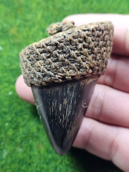 เครื่องรางของมงคลเก่าๆไม่ทราบที่ รูปที่ 3