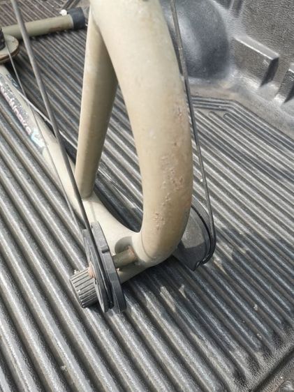 เครื่องออกกำลังกายช่วงเอว รูปที่ 5