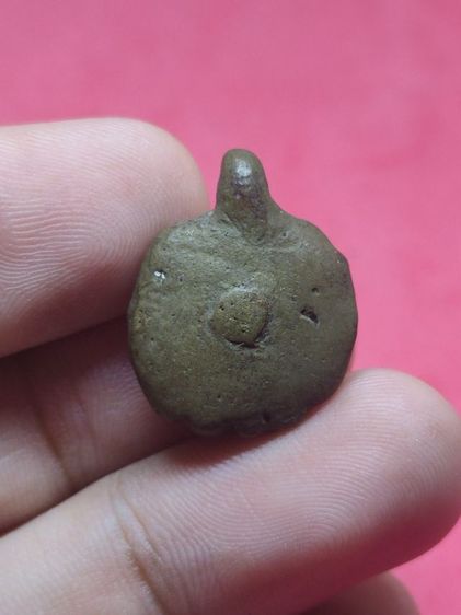 พญาเต่าเรือน รูปที่ 4