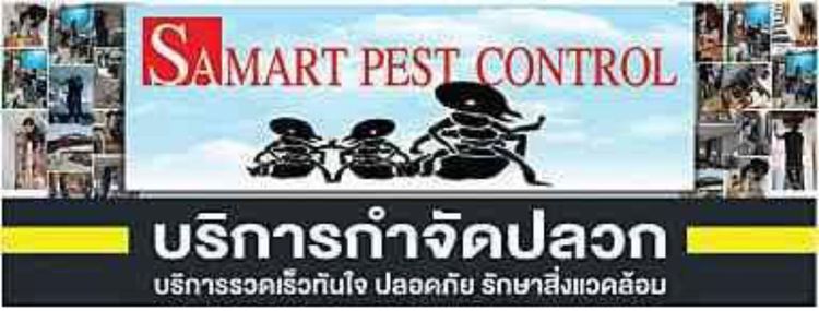 รับกำจัดปลวก ราคาถูกไม่แพง รูปที่ 2