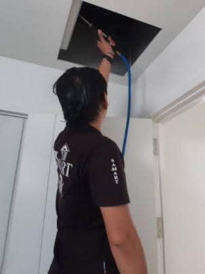 รับกำจัดปลวก ราคาถูกไม่แพง รูปที่ 12