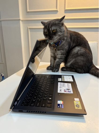 Asus Vivobook S14 Flip Core i9 รูปที่ 5