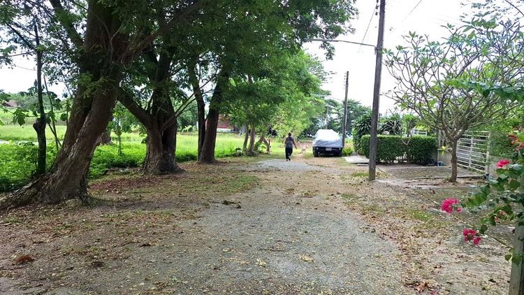 ขายที่ดินใกล้หาดน้ำริน ระยอง เหมาะทำคอนโด