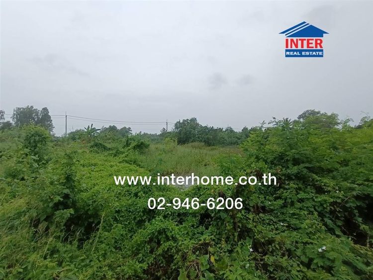 ที่ดินเปล่า 200 ตร.ว. ที่ดิน ซอยศรีกมล ถนนพุมธมณฑลสาย4 พุทธมณฑล นครปฐม รูปที่ 4