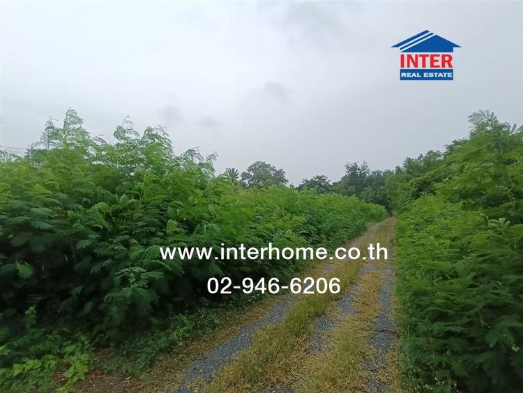 ที่ดินเปล่า 200 ตร.ว. ที่ดิน ซอยศรีกมล ถนนพุมธมณฑลสาย4 พุทธมณฑล นครปฐม รูปที่ 3