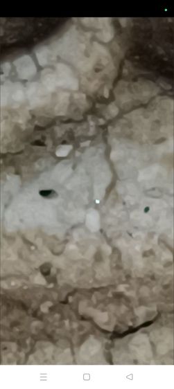 พระสมเด็จวัดระฆัง