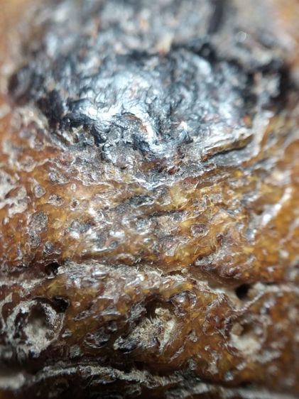 ตะโพนของขลังของดีครับ รูปที่ 10