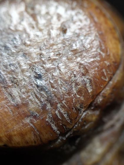 ตะโพนของขลังของดีครับ รูปที่ 11