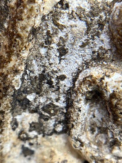 พระสมเด็จวัดระฆังพิมพ์ใหญ่ตัดขอบชิดพระเก่ากรุสวยสวย(040) รูปที่ 5