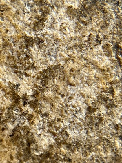 พระสมเด็จวัดระฆังพิมพ์ใหญ่ตัดขอบชิดพระเก่ากรุสวยสวย(040) รูปที่ 12