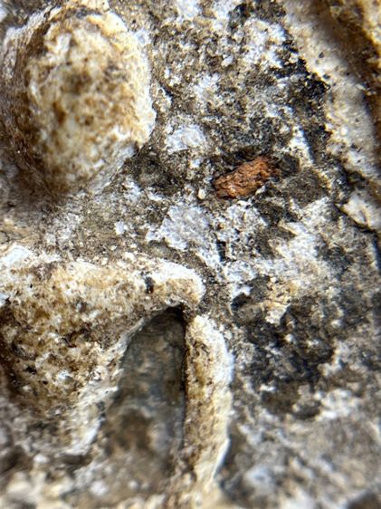 พระสมเด็จวัดระฆังพิมพ์ใหญ่ตัดขอบชิดพระเก่ากรุสวยสวย(040) รูปที่ 16