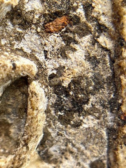 พระสมเด็จวัดระฆังพิมพ์ใหญ่ตัดขอบชิดพระเก่ากรุสวยสวย(040) รูปที่ 11