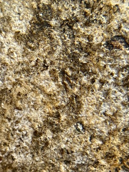 พระสมเด็จวัดระฆังพิมพ์ใหญ่ตัดขอบชิดพระเก่ากรุสวยสวย(040) รูปที่ 13