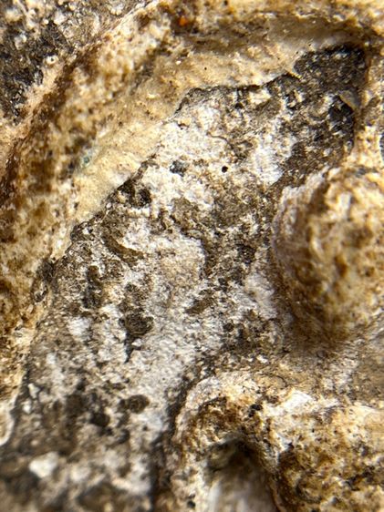 พระสมเด็จวัดระฆังพิมพ์ใหญ่ตัดขอบชิดพระเก่ากรุสวยสวย(040) รูปที่ 17