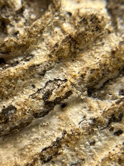 พระสมเด็จวัดระฆังพิมพ์ใหญ่ตัดขอบชิดพระเก่ากรุสวยสวย(040) รูปที่ 9