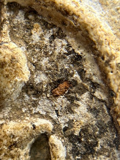 พระสมเด็จวัดระฆังพิมพ์ใหญ่ตัดขอบชิดพระเก่ากรุสวยสวย(040) รูปที่ 8