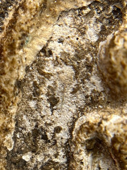 พระสมเด็จวัดระฆังพิมพ์ใหญ่ตัดขอบชิดพระเก่ากรุสวยสวย(040) รูปที่ 6