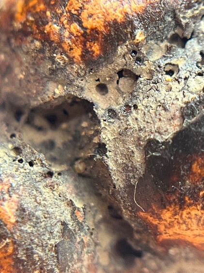 พระปิดตาพิมพ์ปั้นหลวงปู่เทพโลกอุดร(03) รูปที่ 12