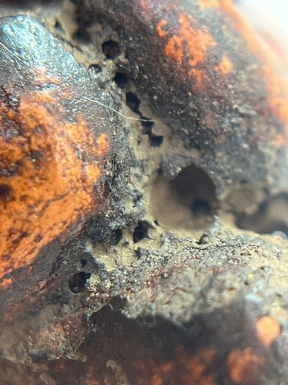 พระปิดตาพิมพ์ปั้นหลวงปู่เทพโลกอุดร(03) รูปที่ 13