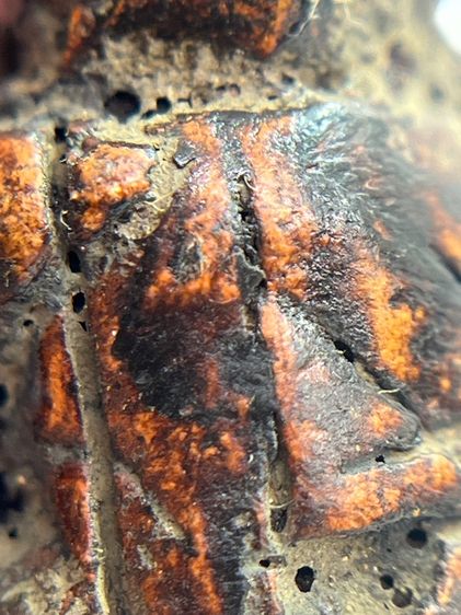 พระปิดตาพิมพ์ปั้นหลวงปู่เทพโลกอุดร(03) รูปที่ 8