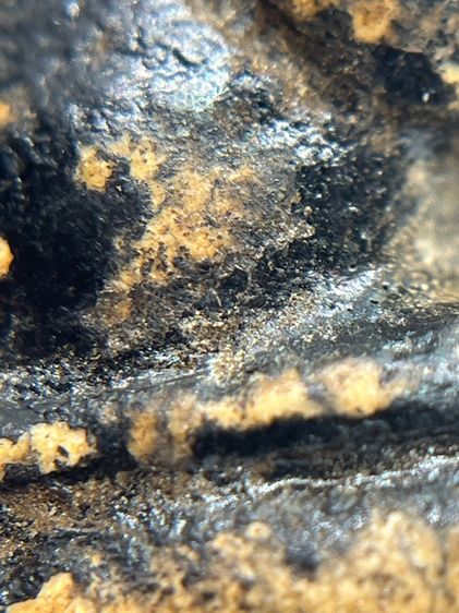 พระปิดตาหลวงพ่อทองสุข พิมพ์ตะพาบเข่ากว้าง ยุคต้น เนื้อผงจุ่มรัก(049) รูปที่ 9