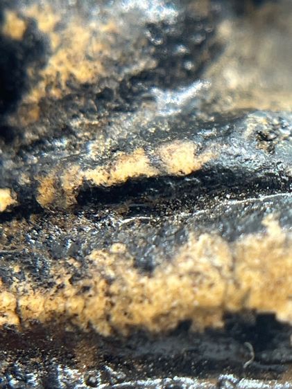 พระปิดตาหลวงพ่อทองสุข พิมพ์ตะพาบเข่ากว้าง ยุคต้น เนื้อผงจุ่มรัก(049) รูปที่ 10