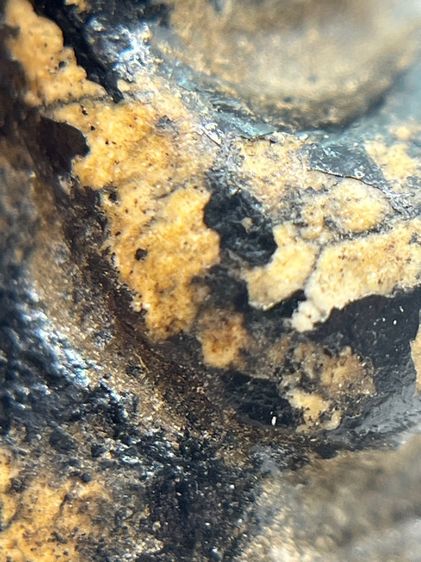 พระปิดตาหลวงพ่อทองสุข พิมพ์ตะพาบเข่ากว้าง ยุคต้น เนื้อผงจุ่มรัก(049) รูปที่ 6