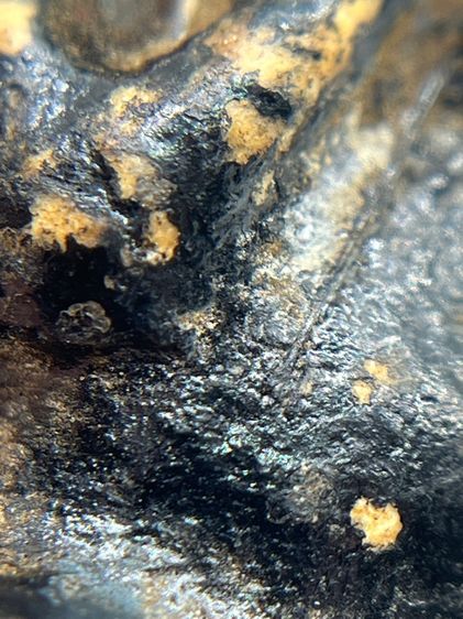 พระปิดตาหลวงพ่อทองสุข พิมพ์ตะพาบเข่ากว้าง ยุคต้น เนื้อผงจุ่มรัก(049) รูปที่ 8