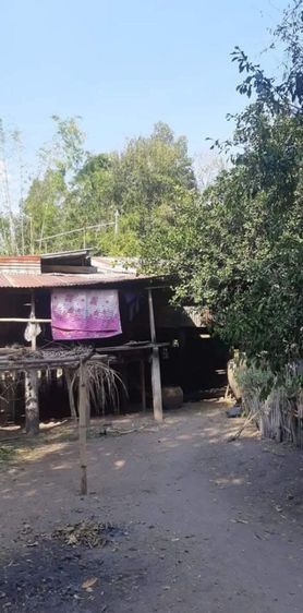 หลวงเดิมสังกัจจายพระเหมามาตามบ้านน่าสะสมเก่าเข้มขลังมากๆ รูปที่ 14