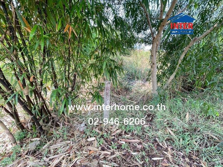 ที่ดินเปล่า 400 ตร.ว. ที่ดินเปล่า ใกล้หมู่บ้านพนาสนธิ์การ์เด้นวิลล์ ใกล้ซอยไมตรีจิต9 ถนนนิมิตใหม่ ถนนไมตรีจิต เขตคลองสามวา กรุงเทพมหานคร รูปที่ 3