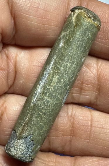 ตะกรุดสาลิกาหลวงปู่ศุขวัดปากคลองมะขามเฒ่า ผ่านการใช้เชือกหลุดหาย รูปที่ 7