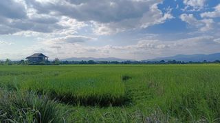ที่ดินเปล่า ที่นาถมแล้วบางส่วน