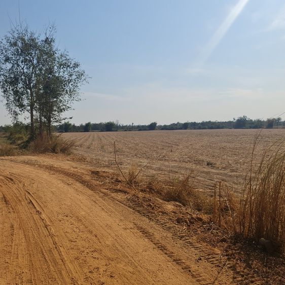 土地出售 45 rai. Pak Kha, Watthana Nakhon. 沙繳府 รูปที่ 2