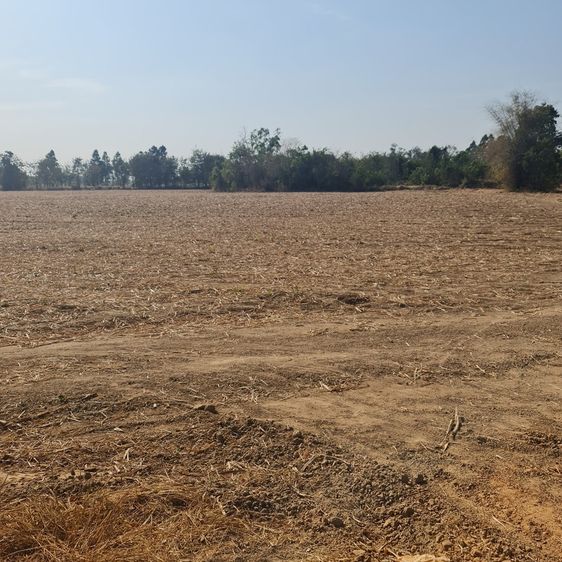 土地出售 45 rai. Pak Kha, Watthana Nakhon. 沙繳府 รูปที่ 3