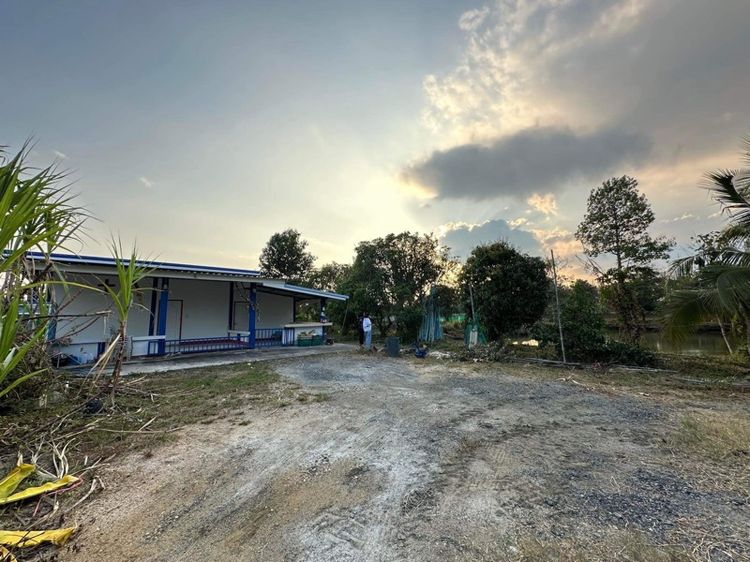 ใช่ บ้านพร้อมที่ดิน4ไร่35ตารางวา รูปที่ 4