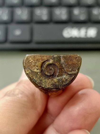 หลวงพ่อซวง วัดชีปะขาว รูปที่ 11