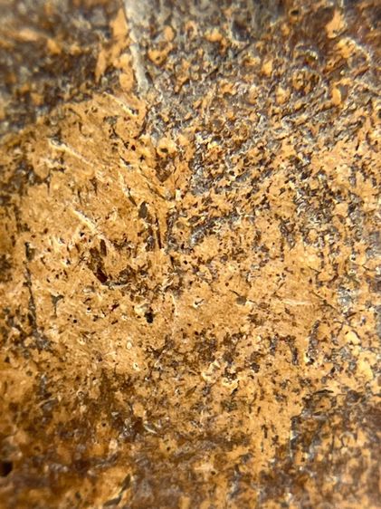 พระขุนแผน ขี่โหงพราย อุ้มกุมาร หลวงพ่อกวย วัดโฆสิตาราม จ.ชัยนาจ เนื้อดิน(046) รูปที่ 16