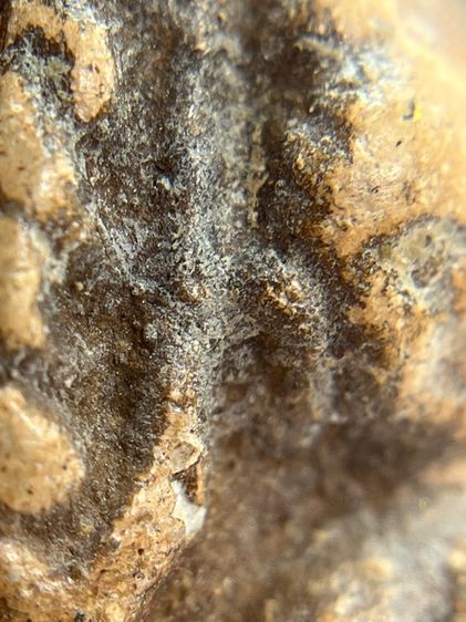 พระขุนแผน ขี่โหงพราย อุ้มกุมาร หลวงพ่อกวย วัดโฆสิตาราม จ.ชัยนาจ เนื้อดิน(046) รูปที่ 8