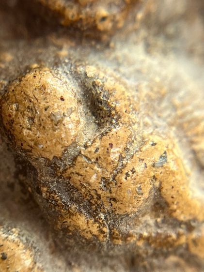 พระขุนแผน ขี่โหงพราย อุ้มกุมาร หลวงพ่อกวย วัดโฆสิตาราม จ.ชัยนาจ เนื้อดิน(046) รูปที่ 15