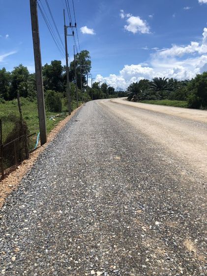 ขายที่ดินต้องการเอเจนซี่ภาคใต้