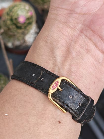 นาฬิกา Vintage Bugatti พร้อมบัคเคิลเดิม ระบบ Quartz ขนาดบอยไซส์ หายากสุดๆ มีตัวเดียวราคาแบ่งปันครับ รูปที่ 15