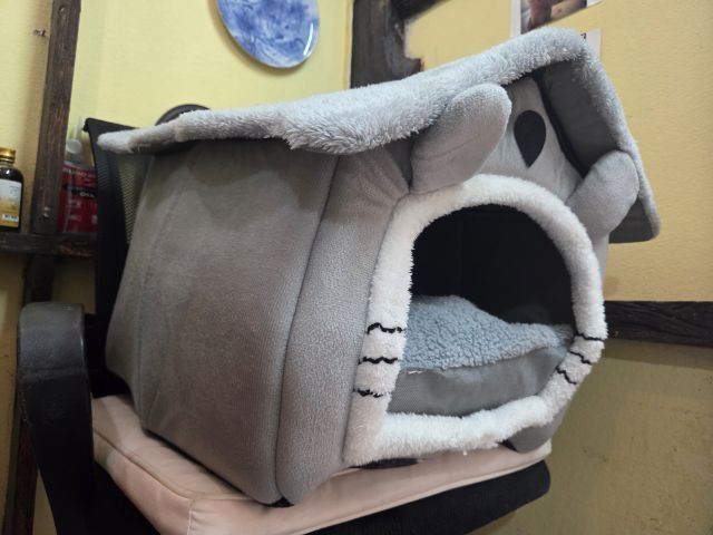 บ้านน้องหมาแมว รูปที่ 2