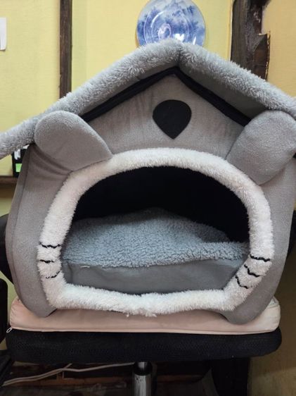 บ้านน้องหมาแมว รูปที่ 3