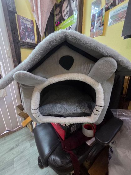 บ้านน้องหมาแมว