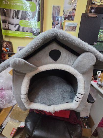 บ้านน้องหมาแมว รูปที่ 4