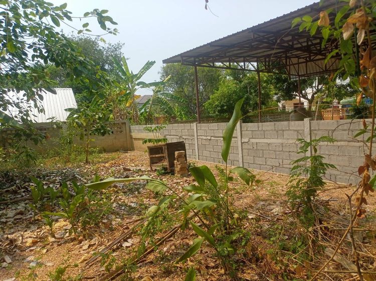 ให้เช่า ที่ดินว่างเปล่าเนื้อที่ 100 ตารางวา รูปที่ 4